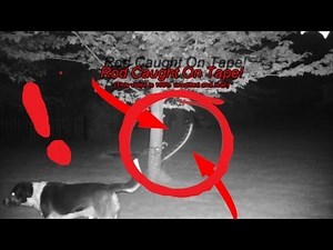 UFO SkyFish Rod Caught On Tape!