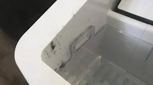 Complete Guide: How I Clean Mold from My Ice Maker Effectively