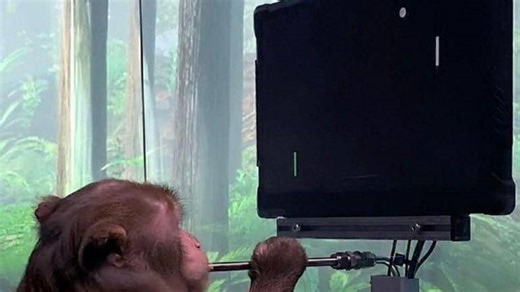 What is Neuralink? How does the technology work and what can a person do with it?