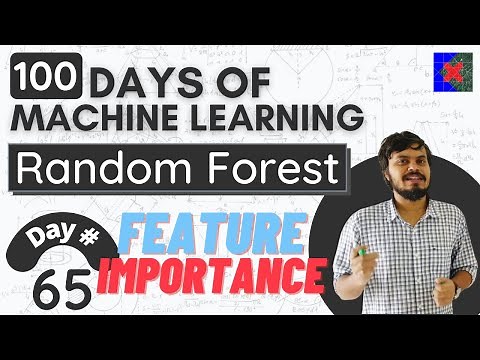 Feature Importance using Random Forest and Decision Trees | How is Feature Importance calculated