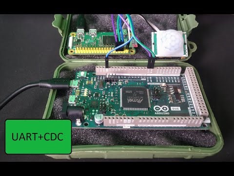 Arduino Due UART +USB CDC example in Microchip Studio 7