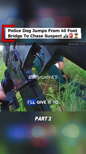 Part 2 | k9 streamer jumps from 40 foot bridge to chase suspect 🚓👮‍♂️ #onscene #policeoftiktok #crimestory