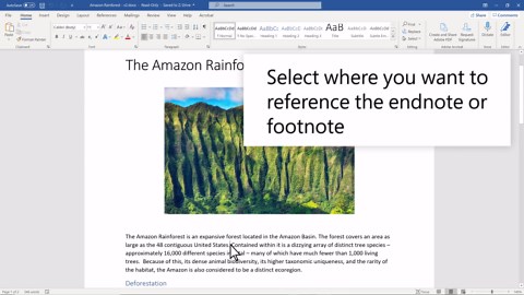 Insert footnotes and endnotes in Word