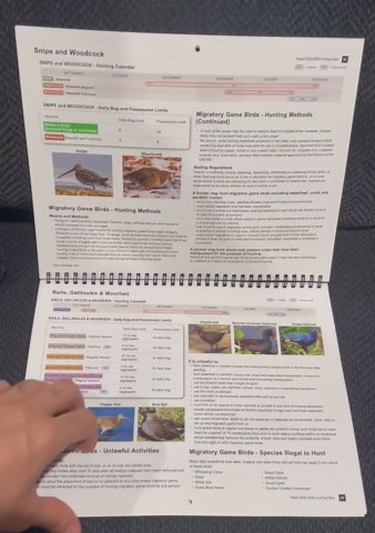 Beet Root Gummies 100mg – Red Beet Chewables with Grape Seed, CoQ10, Vitamin C, Iron & B12 – Supports Energy Metabolism & Healthy Circulation – Sugar Free Supplement for Women & Men, 120 Count