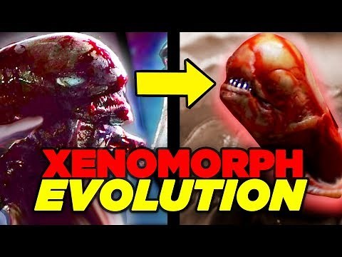 ALIEN Film Series: COMPLETE XENOMORPH EVOLUTION Breakdown!