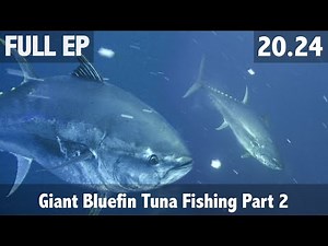 Giant Bluefin Tuna Fishing Part 2