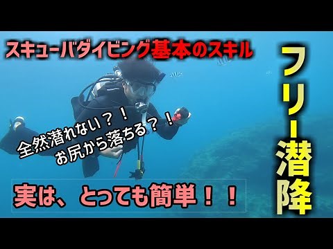 【沖縄ダイビング】基本のスキル フリー潜降 ピンクマーメイド