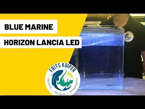 Blue marine Horizon Lancia LED