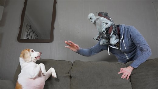 Dog loses it during alien mind-control prank