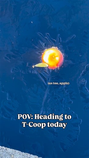 USC Thomas Cooper Library on Instagram: "Come warm up with us! 😌 ☕️ #uofsc #libraries #columbiasc #frozen"