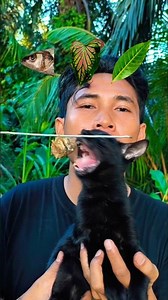 FOOD ASMR🐟🍃🌿 #shorts #reverse #food #mukbang #funny #cat #cute #pets