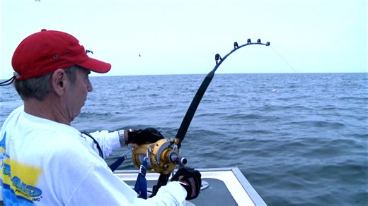 An epic odyssey chasing a legendary thousand-pound tuna (1 of 2)