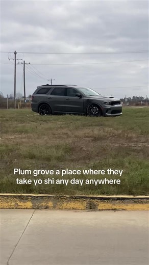 Plum Grove: A Guide to Local Attractions