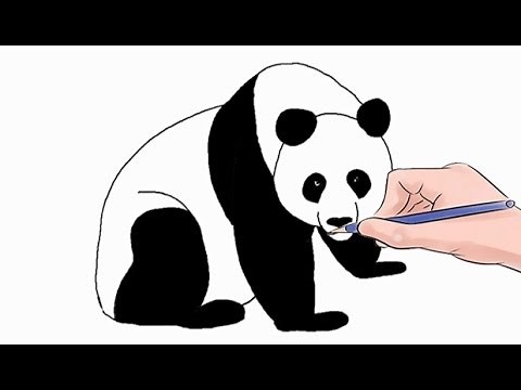 How to Draw a Panda Easy Step by Step