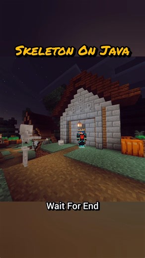 Bedrock vs Java Skeleton – Huge Difference! 😳