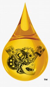 Np203 Oil Type, Capacity, Filter & Engine Specs [Update 2026] ❤️