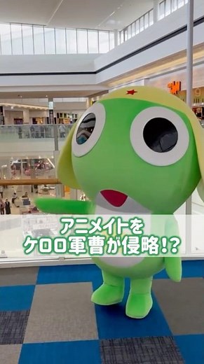 アニメイトイオンモール熊本店内の様子をお届け！ケロロ軍曹が侵略しにやってきた！？ #アニメイト #ケロロ軍曹 #熊本