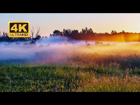HD│ 4K 60fps │Free Video Background Loops │ Nature │ Paisaje │Motion Graphics - green screen 017