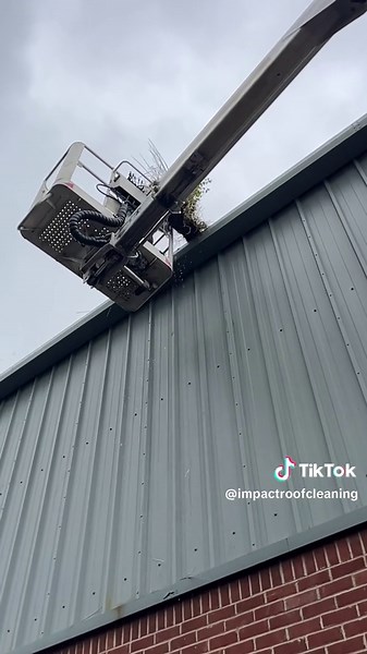 Effective Gutter Cleaning Tips for Homeowners