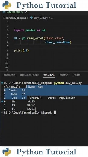Read Multiple Excel Sheets With Pandas | Python Tutorial