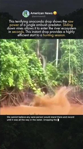 HOW ANACONDAS ENTER THE RIVER
