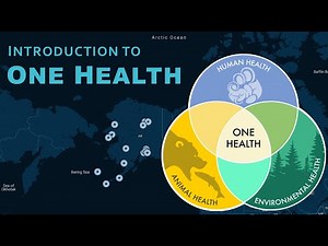 What is One Health?