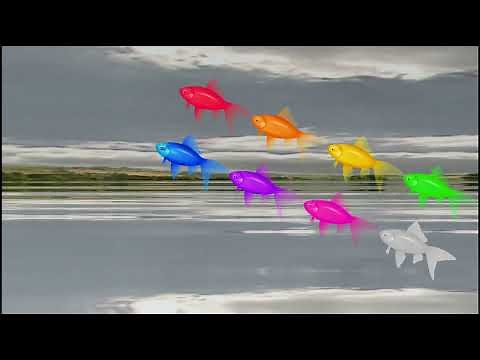 Magic Fish Animation (Free To Use)