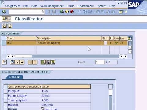 SAP Production Planning & Manufacturing; Introduction to SAP PP, SAP Production Planning & Control