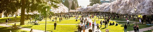 Graduate School Preparation | International & English Language Programs | University of Washington