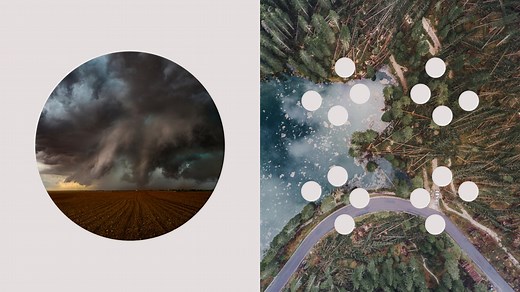 What is CDP Reporting? | IBM