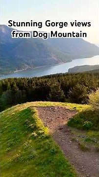 Stunning Columbia River Gorge Views from Dog Mountain Hike | Scenic PNW Adventure | Drone Video