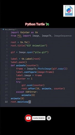 Python Turtle GIF animations how to build your first loop
