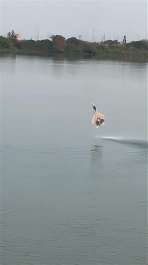 “Fighter Jet Skims the Water at Extreme Speed!”