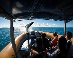 How To Use Your GoPro as the Ultimate Boat Camera