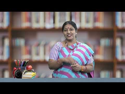 U1S3-Store and Non-store Retailing