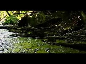 Aliens VS Predator S E E D - full movie