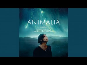 Animalia Main Title 2