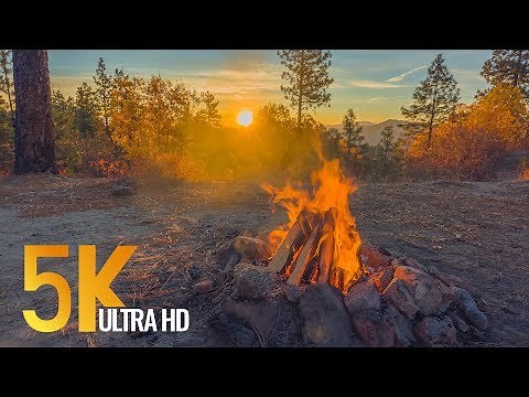 Peaceful Campfire at Sunrise - 5K Nature Relaxation Video with Crackling Fire Sounds