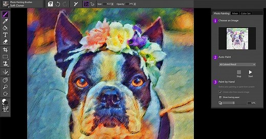Auto-painting presets - Corel Discovery Center