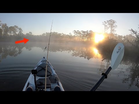 The ULTIMATE *** Kayak Fishing *** Adventure || Saltwater Fishing BACKWATER Creeks