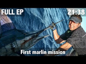 Catching your First Marlin in New Zealand