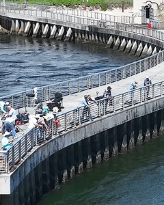 Fishermen line the Boynton Inlet north jetty as a school of mullet pushes along the jetty wall. Filmed September 19th, 2025 in Boynton Beach, Florida. | Paul Dabill Photography