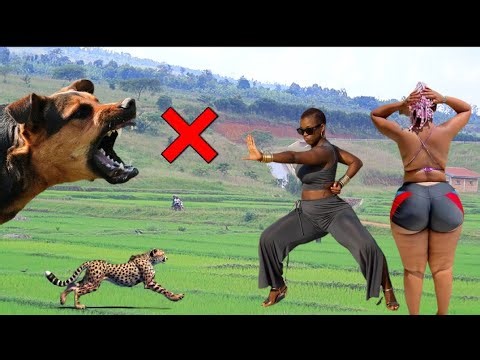 MOTARI YANDONGOYE KU NGUFU😨😨😨😨😨