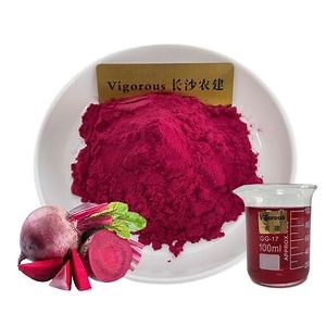 [Hot Item] Organic Healthy Beta Vulgaris Powder Red Beet Juice Powder