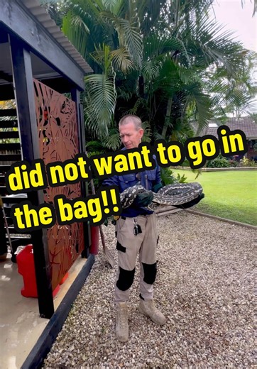 Rescue of a Coastal Carpet Python in Australia