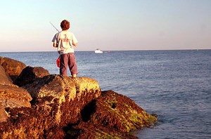 About Cape Cod | Information About Cape Cod Towns