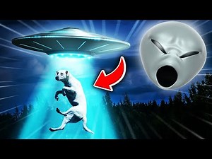 ALIENS KILLED MY DOG?! | We Are Not Alone