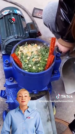 Nutritious feed pellets making machine for goats #fyp #fcnfm #feedpelletmachine #animalfeedpelletmachine #animalfeed #farmingmachine