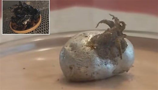 Alien tentacles from mysterious tentacled beast emerging from ‘meteorite’ sparks global frenzy