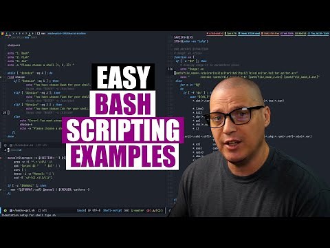 From Zero To Hero With Bash Scripting ('While' Loops and 'If' Statements)